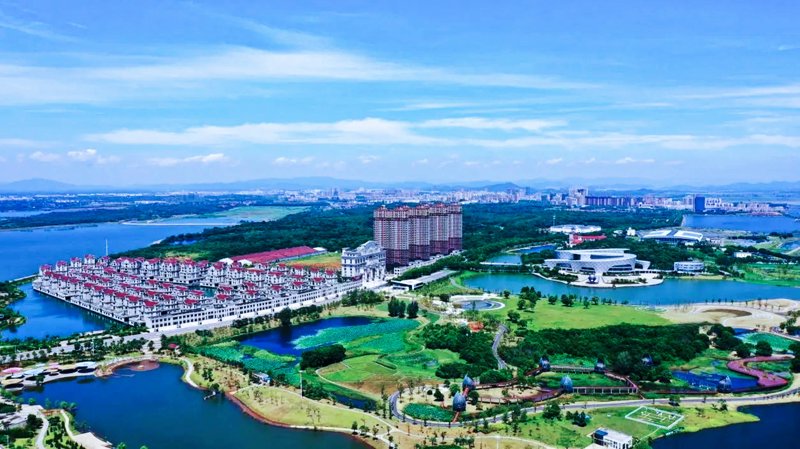 选择信息技术服务的那些事儿：共创智慧未来